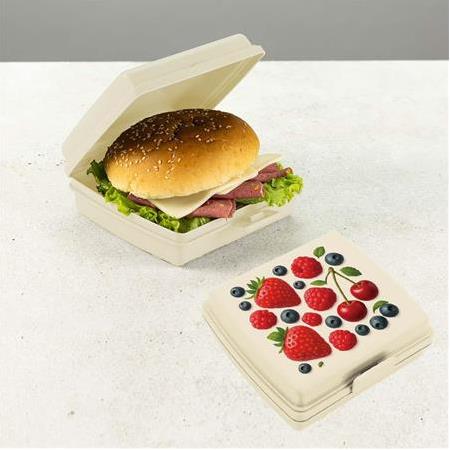 DecoBella Beslenme Kabı-Çilek IML Desen